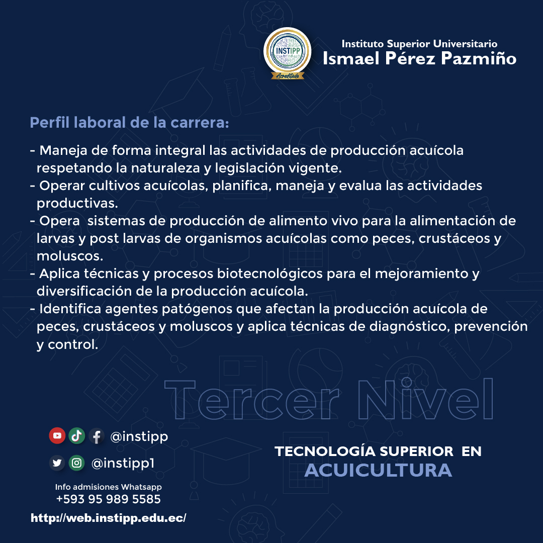 Perfil laboral