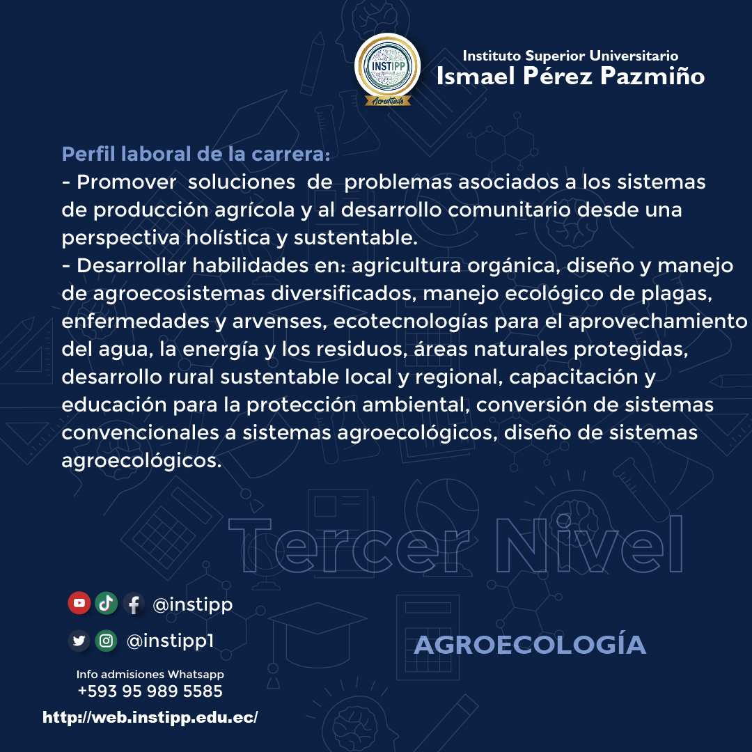 Perfil laboral